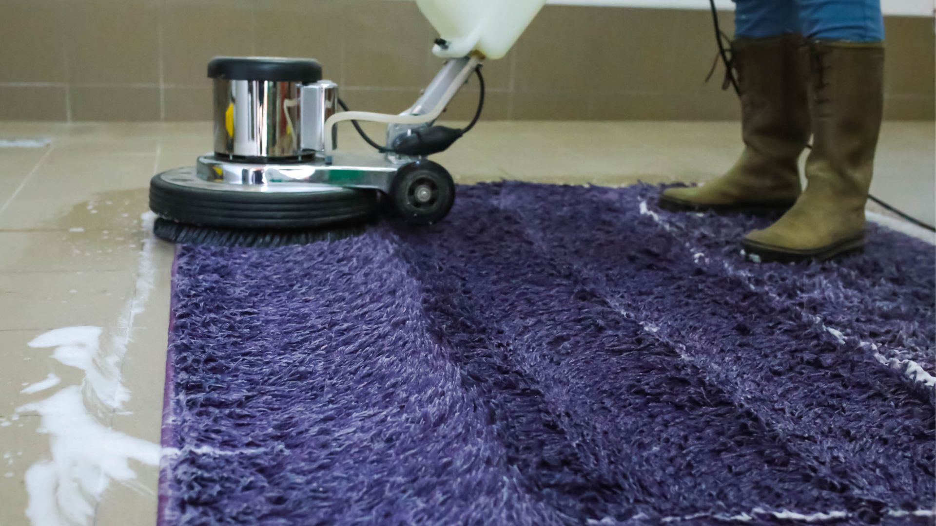 Pet Stain & Odor Removal